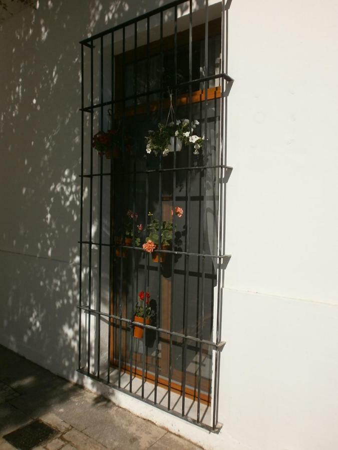 Casa En Plaza De La Merced_Centro Flamenco_Cádiz Exterior photo